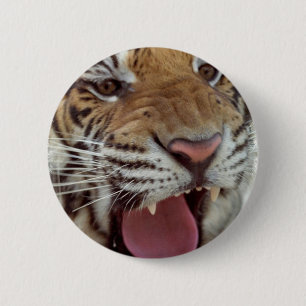 Badge Rond 5 Cm Année du Pin rond de tigre