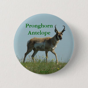 Badge Rond 5 Cm Antilope d'Amérique A10
