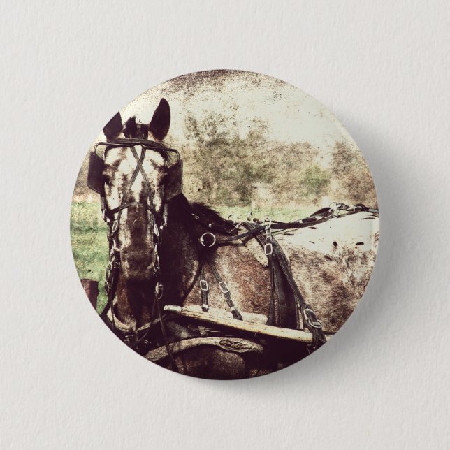 Badge Rond 5 Cm Appaloosa Horse (Devant)