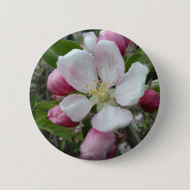 Badge Rond 5 Cm Apple fleurissent (Devant)