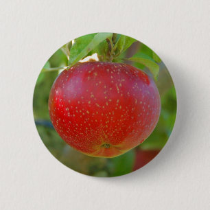 Badge Rond 5 Cm Apple Lobo