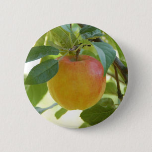 Badge Rond 5 Cm Apple Prima