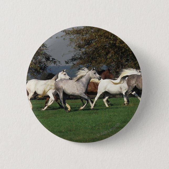 Badge Rond 5 Cm Arabes courant dans le domaine (Devant)