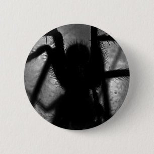 Badge Rond 5 Cm Arachnophobia…