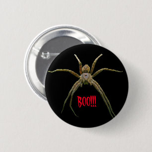 Badge Rond 5 Cm Araignée