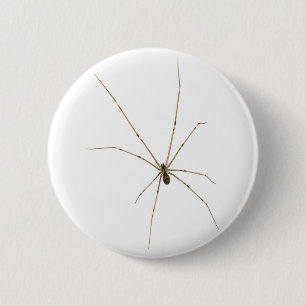 Badge Rond 5 Cm Araignée