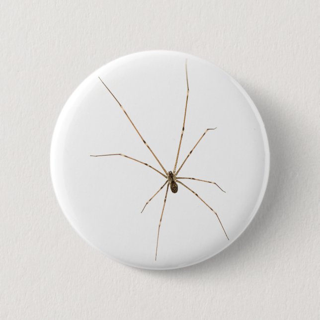 Badge Rond 5 Cm Araignée (Devant)