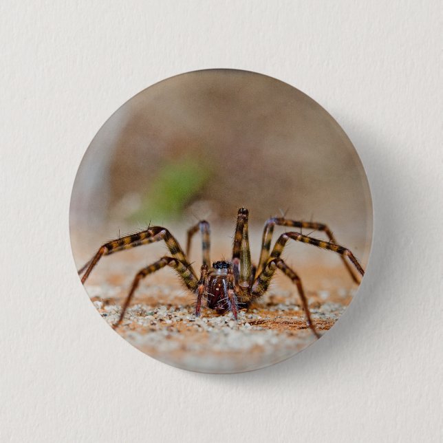 Badge Rond 5 Cm araignée a (Devant)