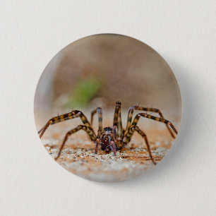 Badge Rond 5 Cm araignée a