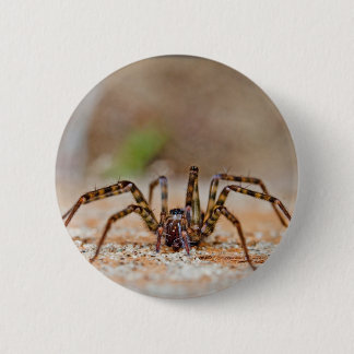 Badge Rond 5 Cm araignée a