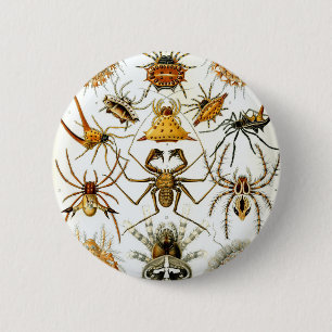 Badge Rond 5 Cm Araignées des arachnides d'Ernst Haeckel