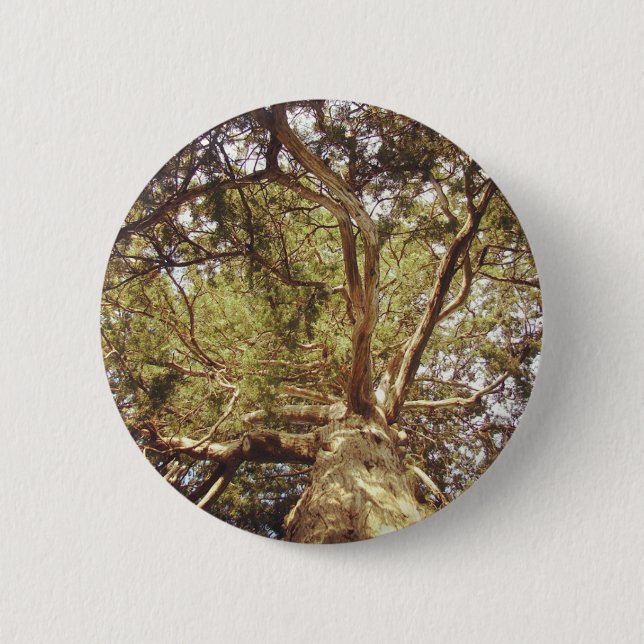 Badge Rond 5 Cm Arbre (Devant)