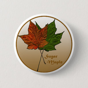 Badge Rond 5 Cm Arbre à sucre