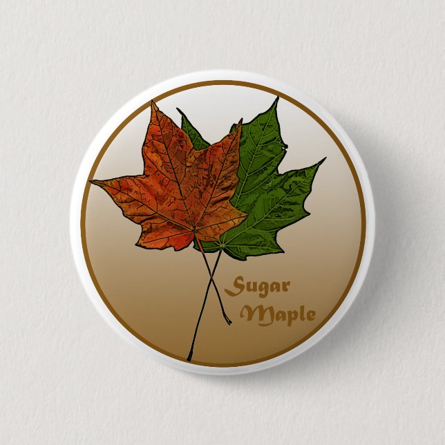 Badge Rond 5 Cm Arbre à sucre (Devant)