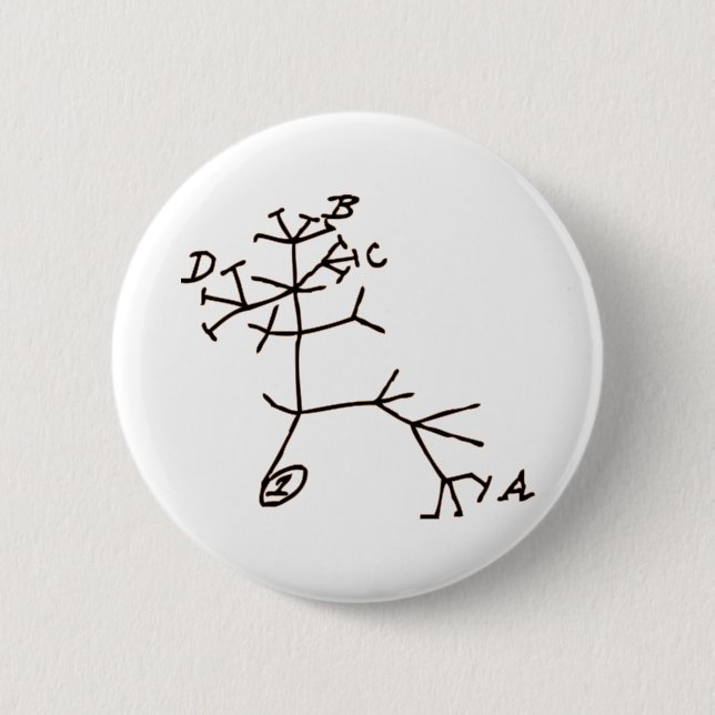 Badge Rond 5 Cm Arbre de Darwin (Devant)