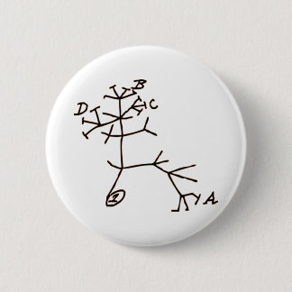 Badge Rond 5 Cm Arbre de Darwin