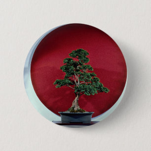 Badge Rond 5 Cm Arbre de inspiration de bonsaïs