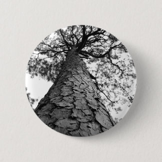 Badge Rond 5 Cm Arbre grand BW