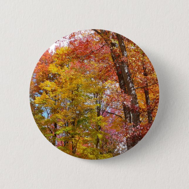 Badge Rond 5 Cm Arbres automnes oranges et jaunes Photographie d'a (Devant)