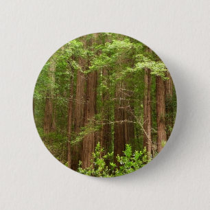 Badge Rond 5 Cm Arbres séquoias du monument national Muir Woods