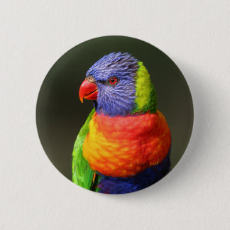 Badge Rond 5 Cm Arc-en-ciel Lorikeet