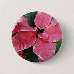 Badge Rond 5 Cm Argent Star Marbre Poinsettias Pink Holiday Floral