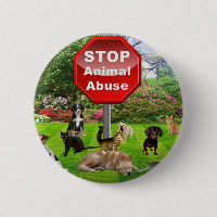 Arrêtez l'abus animal