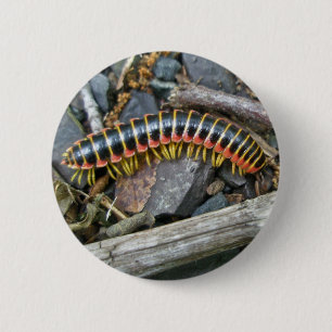 Badge Rond 5 Cm Articles de série Millipede