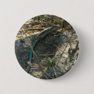 Badge Rond 5 Cm Aruba Whiptail Lizard Photographie d'animaux tropi