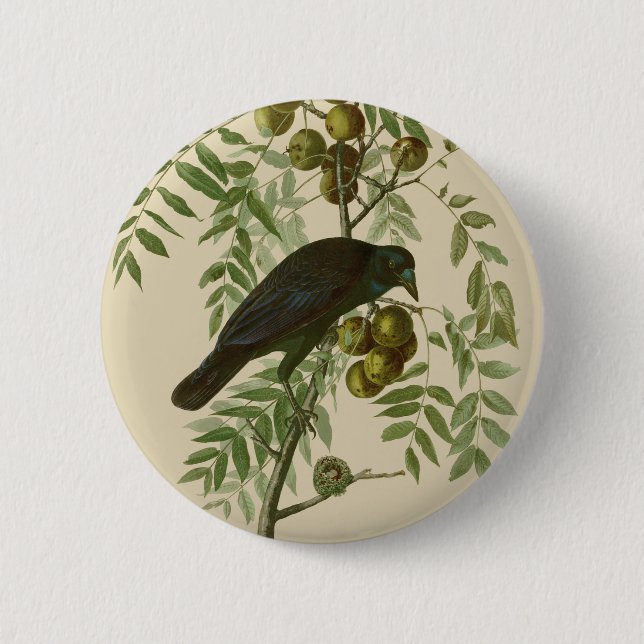 Badge Rond 5 Cm Audubon American Crow Black Bird (Devant)