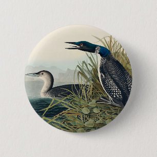 Badge Rond 5 Cm Audubon Bird Loon Diver Classic