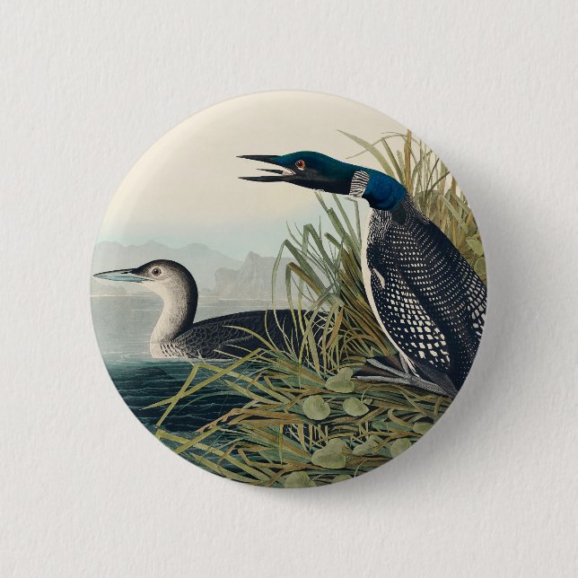 Badge Rond 5 Cm Audubon Bird Loon Diver Classic (Devant)
