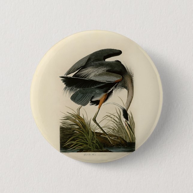 Badge Rond 5 Cm Audubon Great Blue Heron Marsh Bird (Devant)