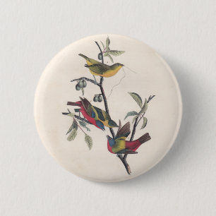 Badge Rond 5 Cm Audubon Peint Bunting Bird Wildlife