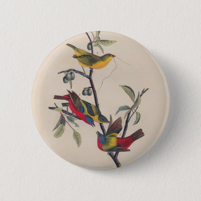 Badge Rond 5 Cm Audubon Peint Bunting Bird Wildlife (Devant)