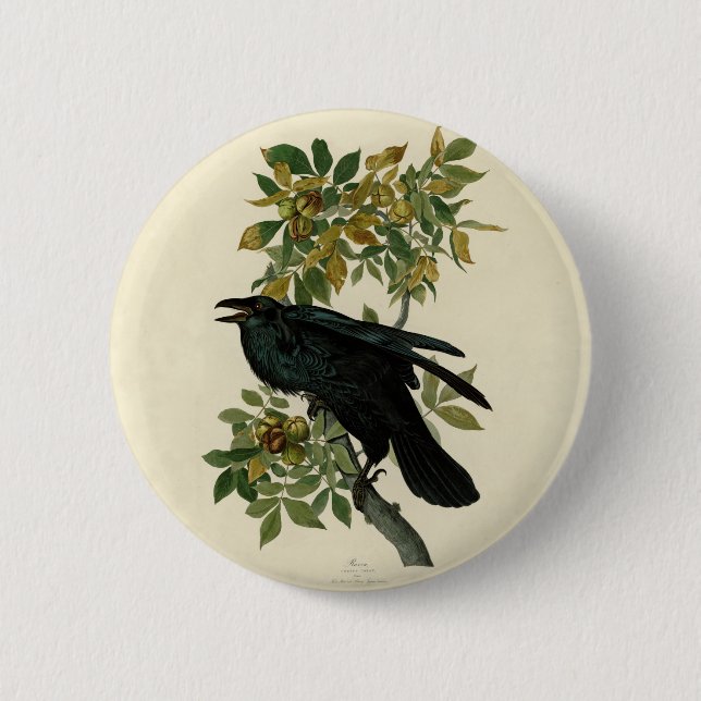 Badge Rond 5 Cm Audubon Raven Oiseau classique (Devant)