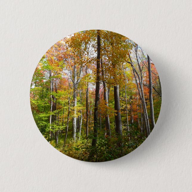Badge Rond 5 Cm Automne Forêt I Automne Paysage Photographie (Devant)