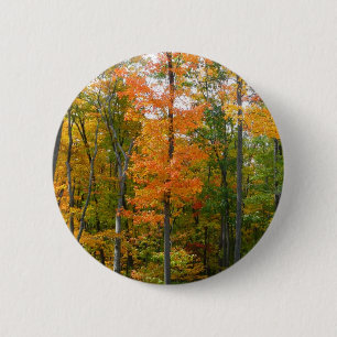 Badge Rond 5 Cm Automne Maple Trees Automne Photographie de la nat