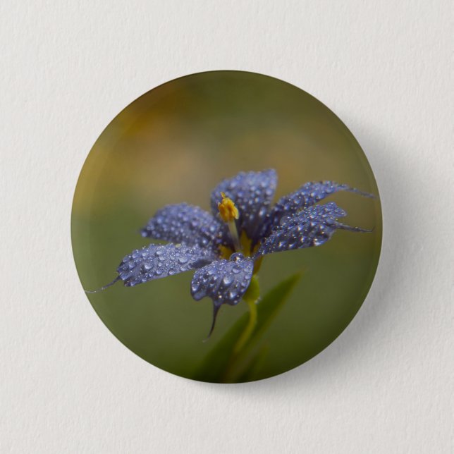 Badge Rond 5 Cm Aux yeux bleus déwy (Devant)