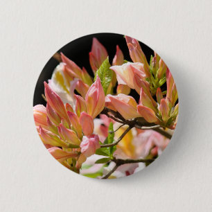 Badge Rond 5 Cm AZALÉES FLEURS Été 9 Azalées Cartes Cadeaux Mugs