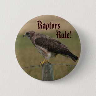 Badge Rond 5 Cm B10 Buse de Swainson