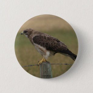 Badge Rond 5 Cm B10 Buse de Swainson