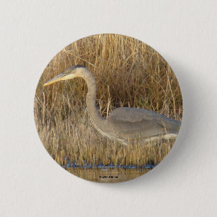 Badge Rond 5 Cm B19 Grand Héron juvénile