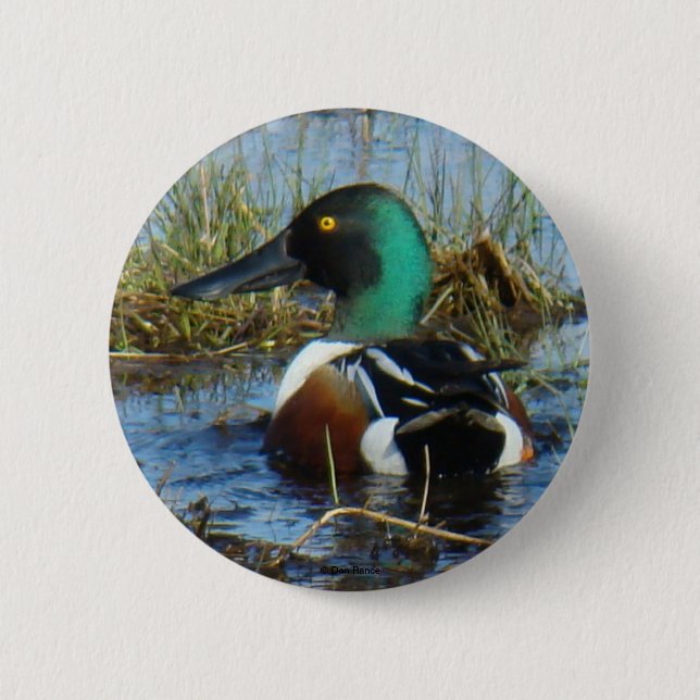 Badge Rond 5 Cm B25 Canard souchet (Devant)