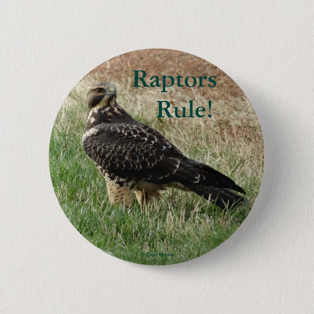 Badge Rond 5 Cm B52 Buse de Swainson (Devant)