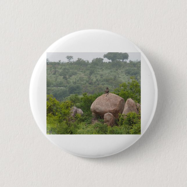 Badge Rond 5 Cm Baboon sur un rocher (Devant)