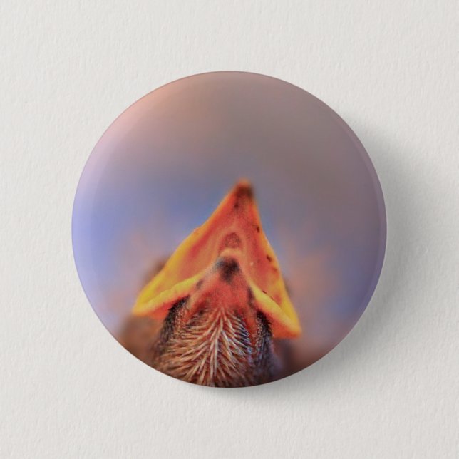 Badge Rond 5 Cm Baby Bird 2 (Devant)