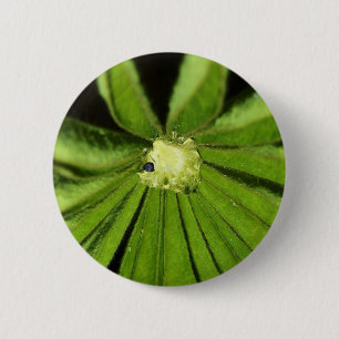 Badge Rond 5 Cm Baby Palm Plante par Shirley Taylor