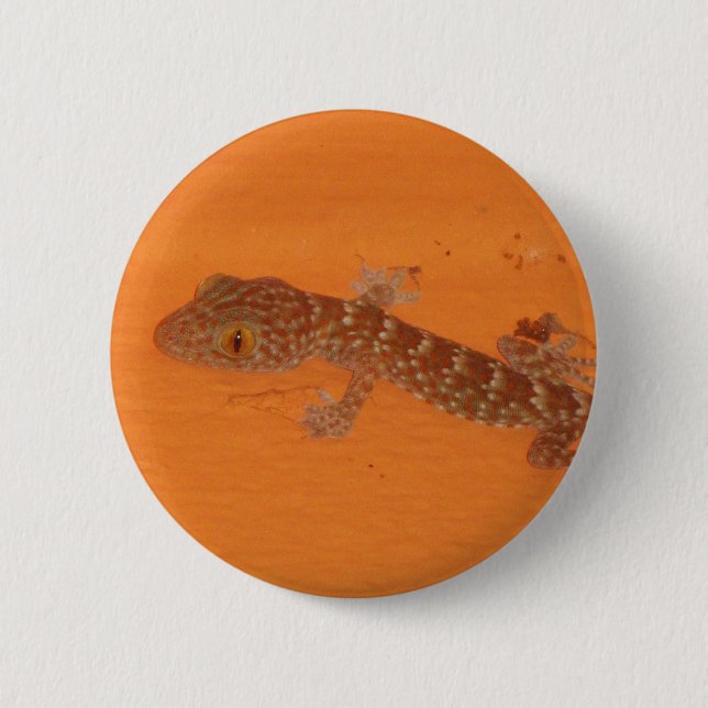 Badge Rond 5 Cm Baby Tokay Gecko (Devant)
