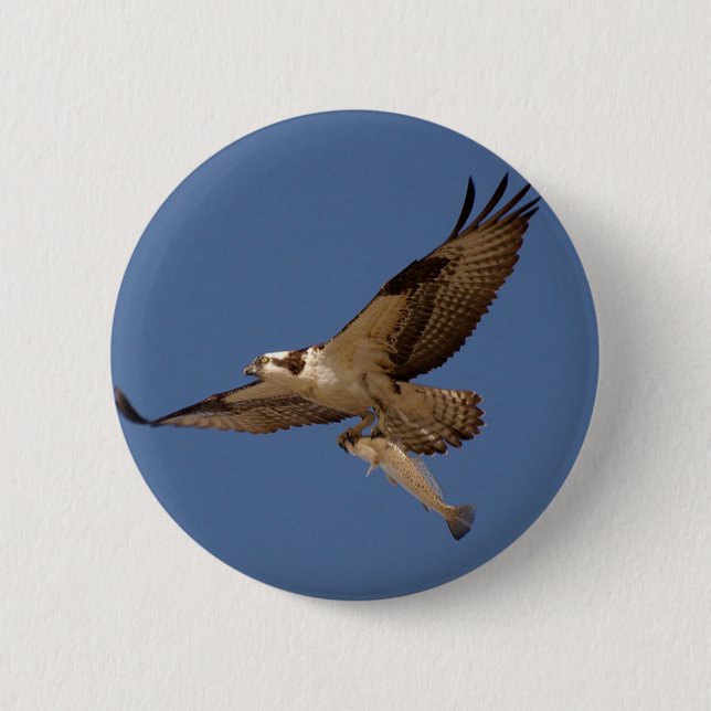 Badge Rond 5 Cm Balbuzard Fisher (Devant)